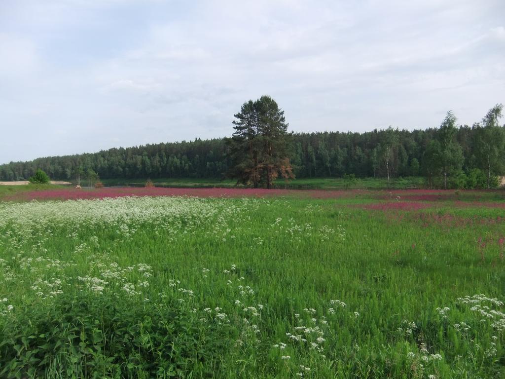 Nature Retreat "Upes Dizvietas" Krāslava Dış mekan fotoğraf